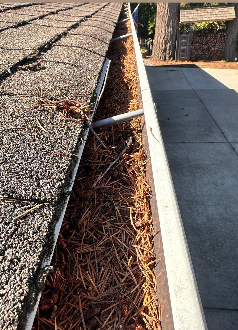 Gutter packed with pine needles and debris
