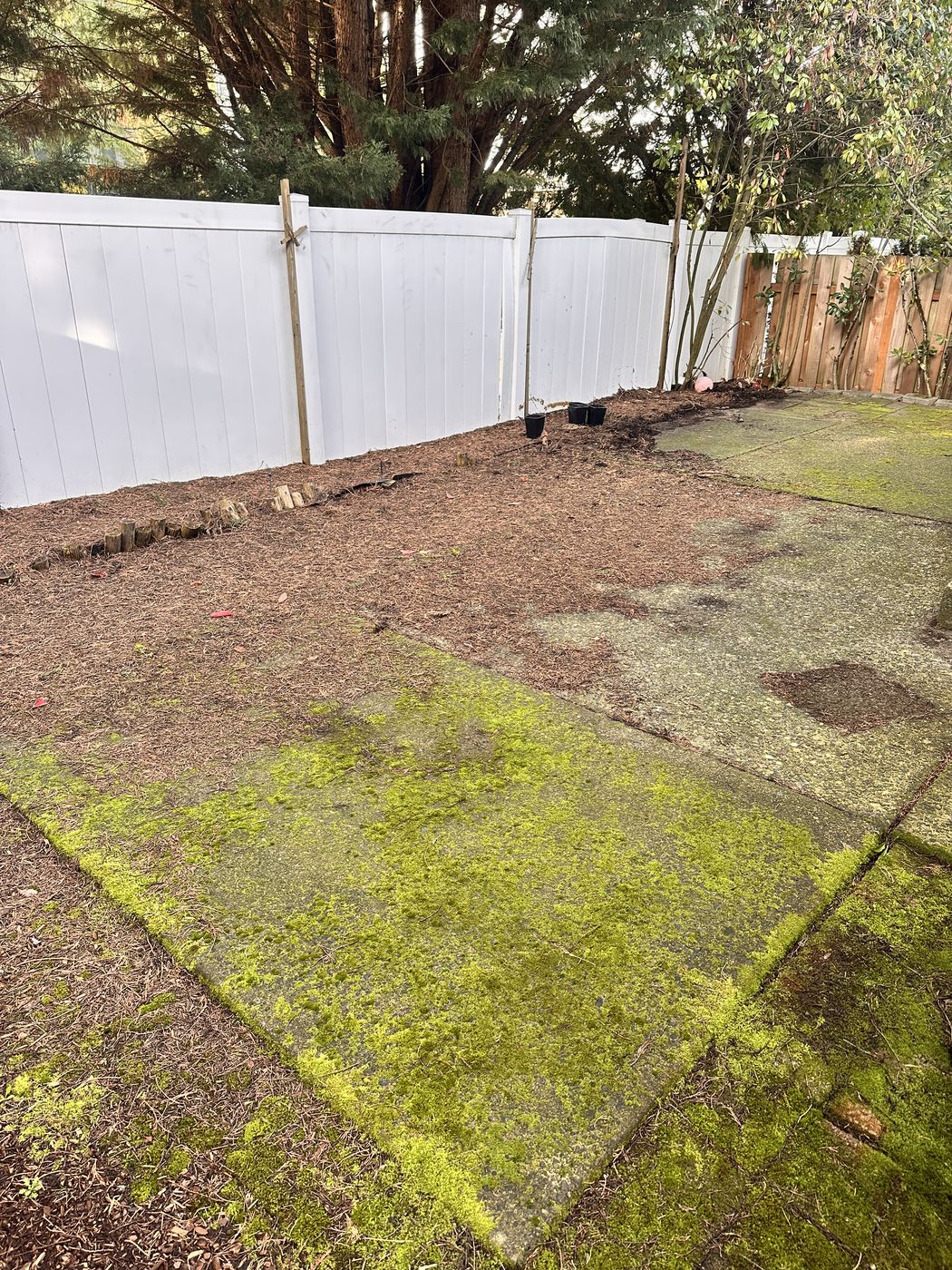 Same patio after pressure washing — clean and ready for summer