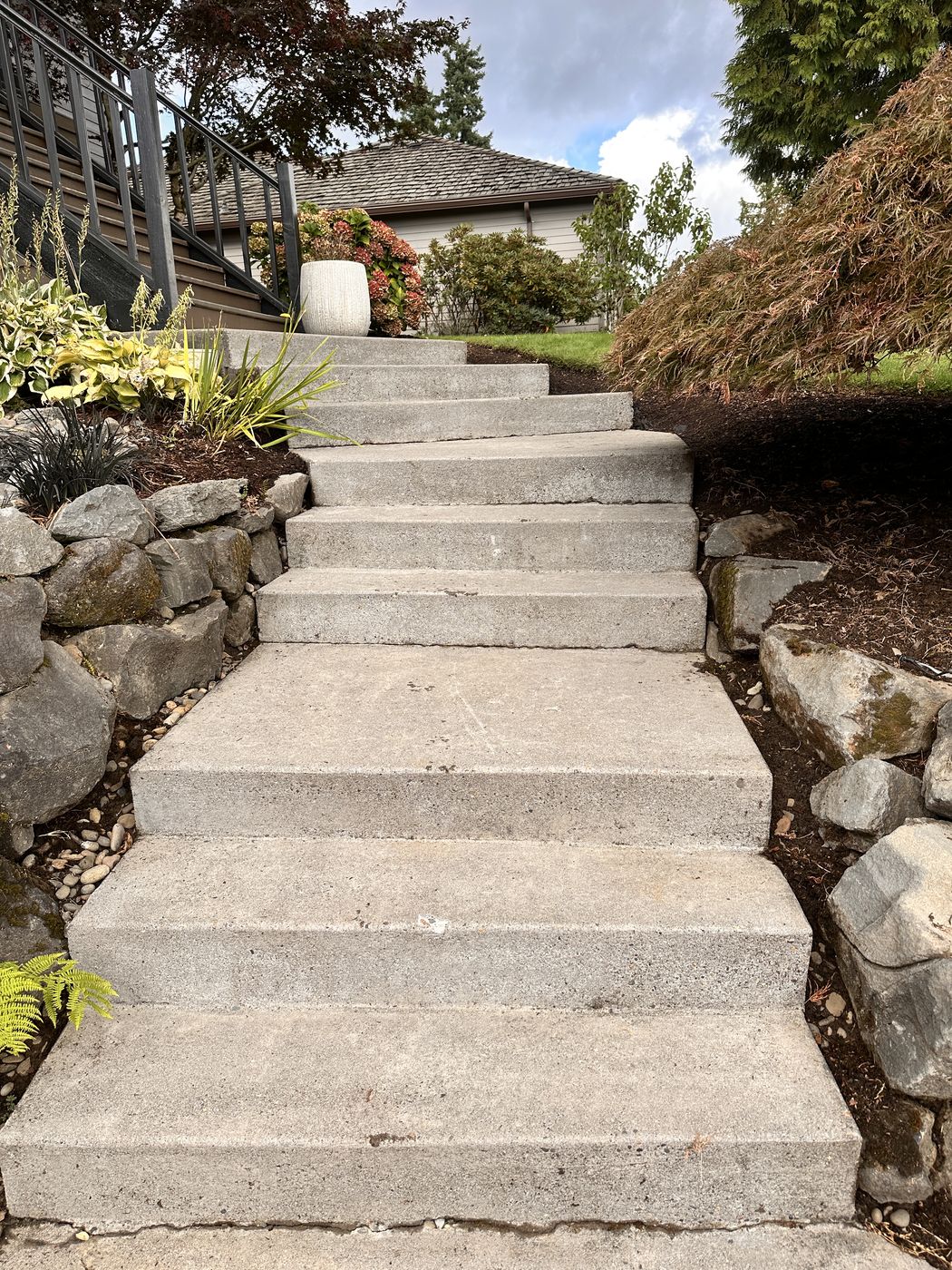 Same concrete steps after soft-wash — bright and restored